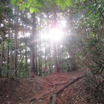 もうすぐ成相寺別れ