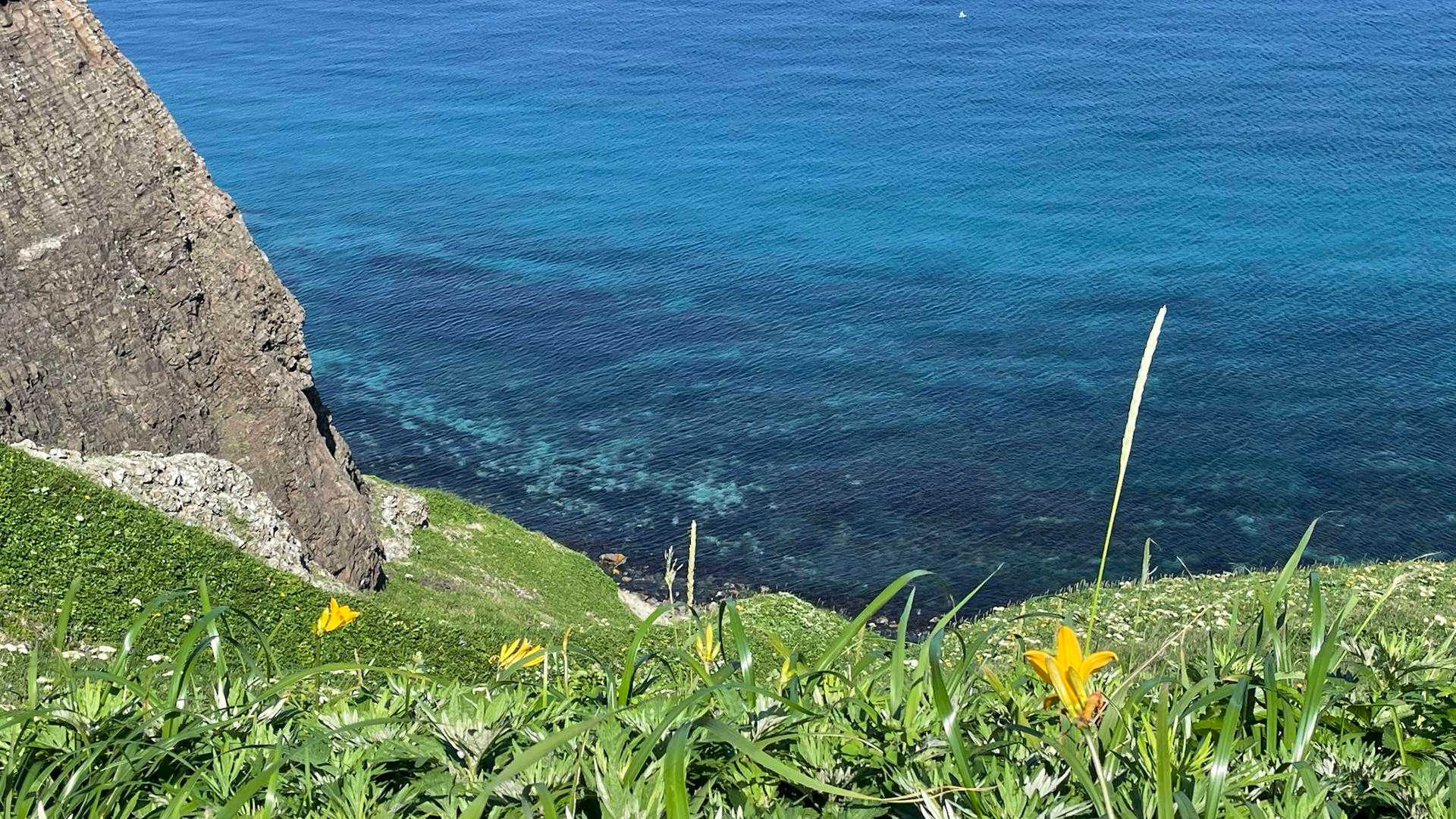 レブンブルーの海！