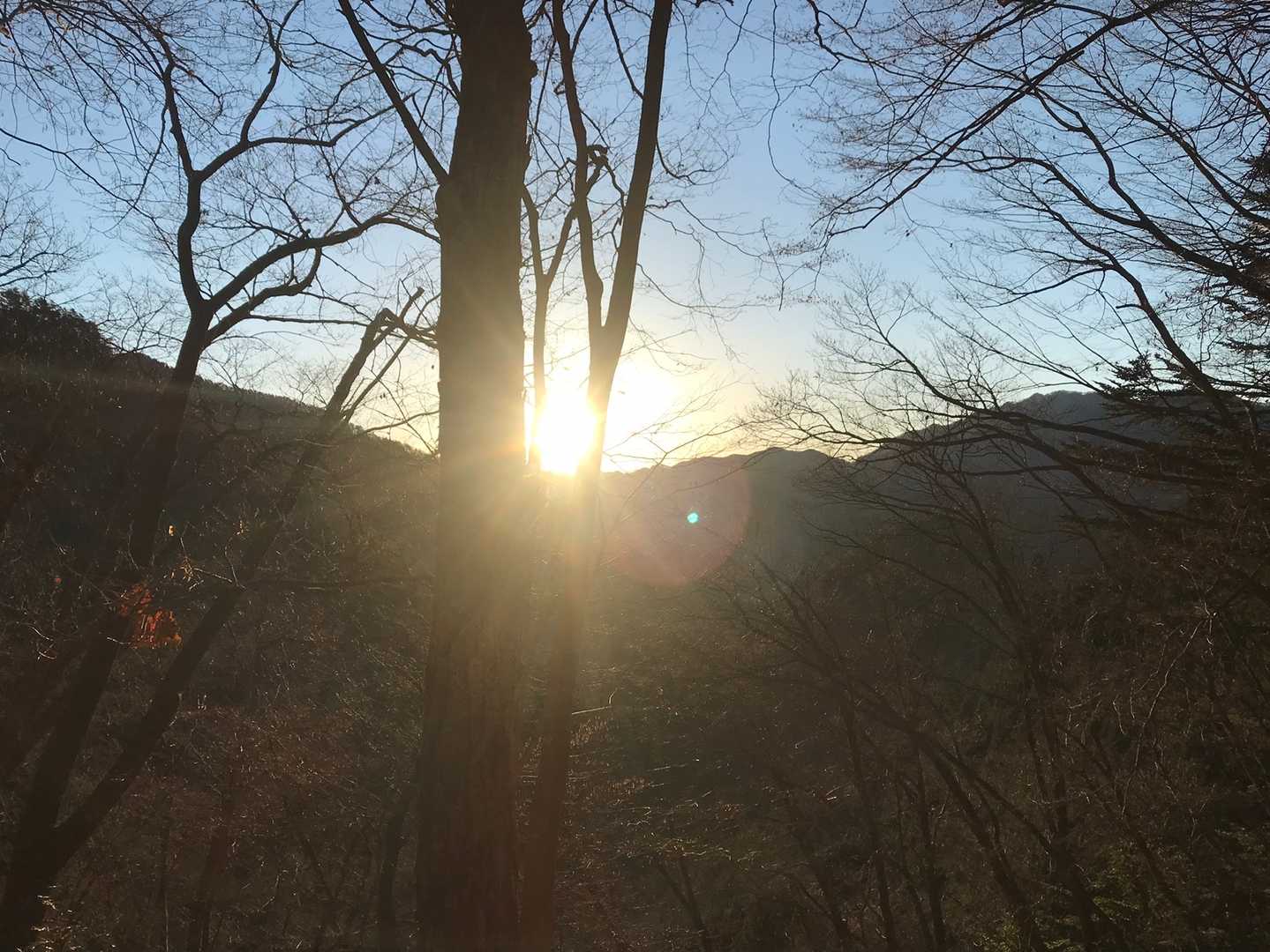 小袖登山口-堂所-七ツ石山 往復コースの写真