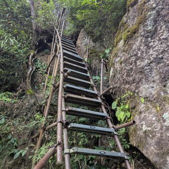 急な階段です
踏む度にギシギシ言いました
手すりも気をつけないといけません
高所恐怖症の人は気をつけましょう