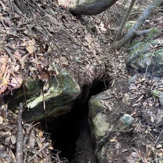 この山亀裂が入っているのですね
そのうちパッカーンと割れるのでは？🍑