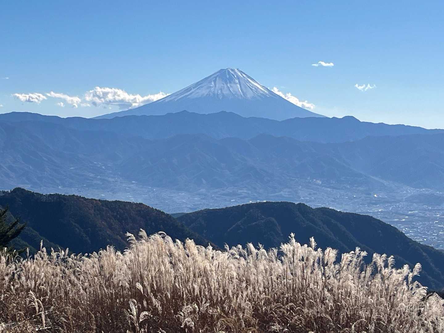 ススキと富士山