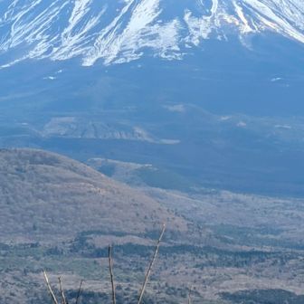 意外に小さいとおもった富士さん