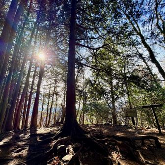 広めの山頂です。