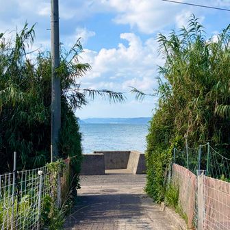登山道分岐より“姫島小学校”方向に下ると 直接🌊海に抜けます🚶‍♀️