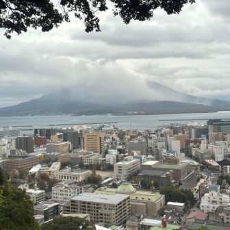 展望台からの桜島
やっぱりガスってる