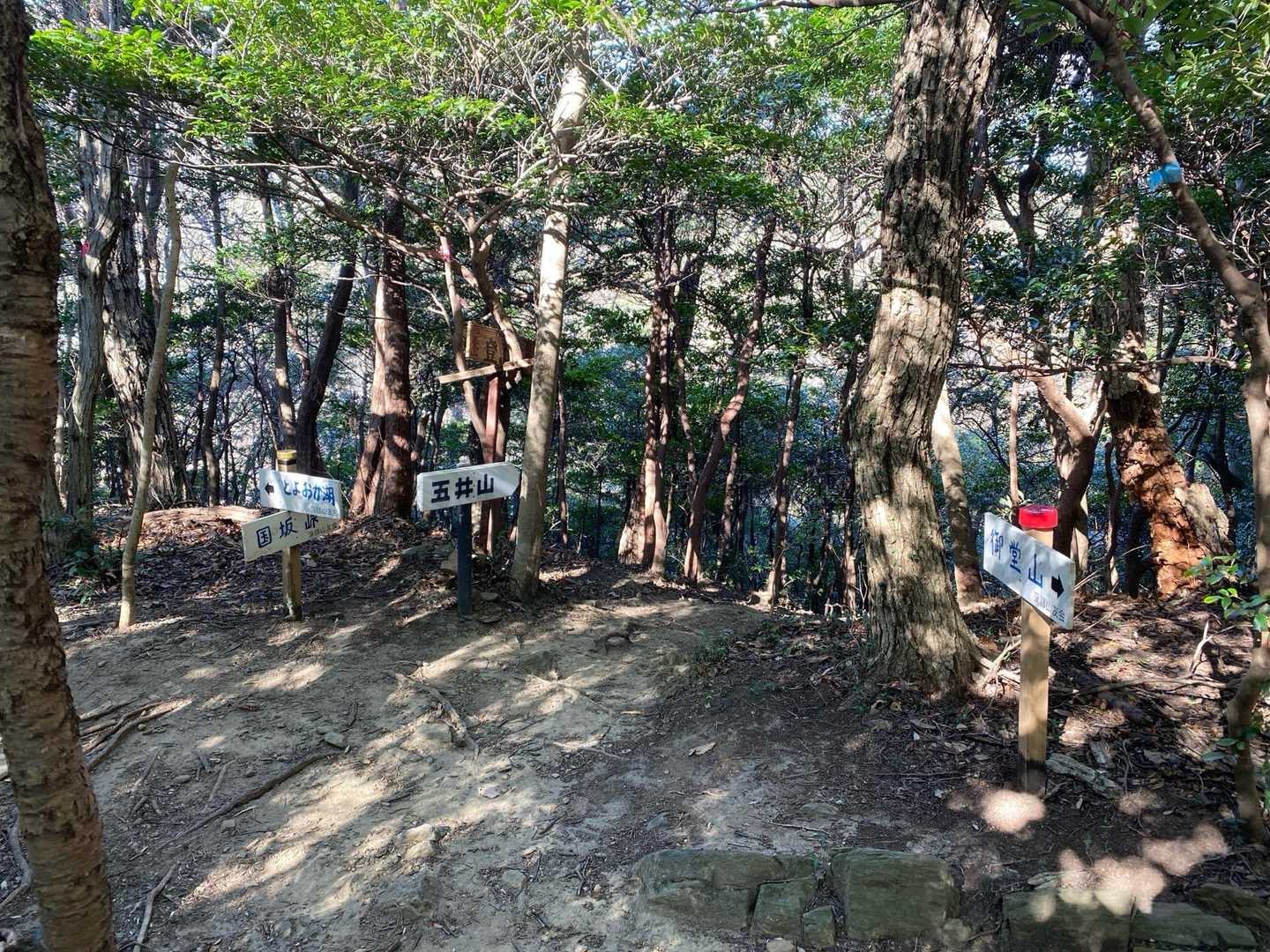 五井山への分岐