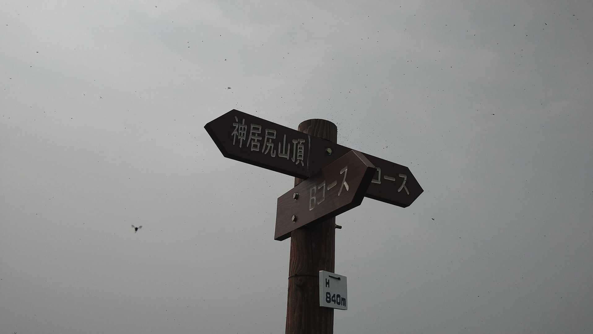 Aコース登山口-Bコース登山口-神居尻山 周回コースの写真