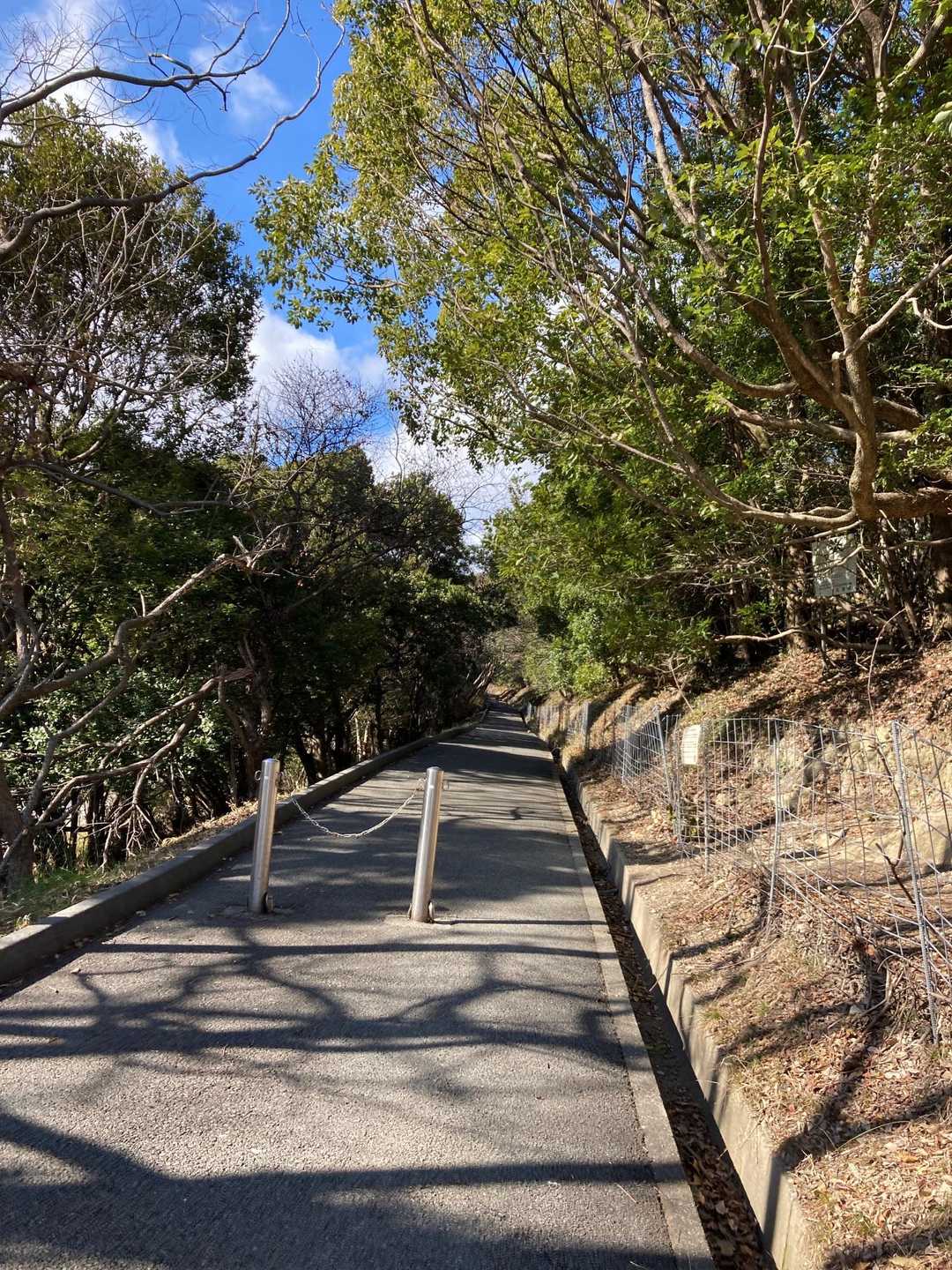 いつもの馬の背ルートの登山口を通り過ぎ真っ直ぐ。予習してきました😊
そう言えば。高御位は今日も撮影があったみたいで。近くに撮影クルーがいました。ペコペコされてた男性、誰かな？🙄