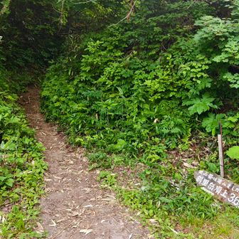 登山届は済みました看板