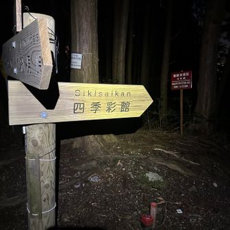 きゅうざかの道を⤵︎