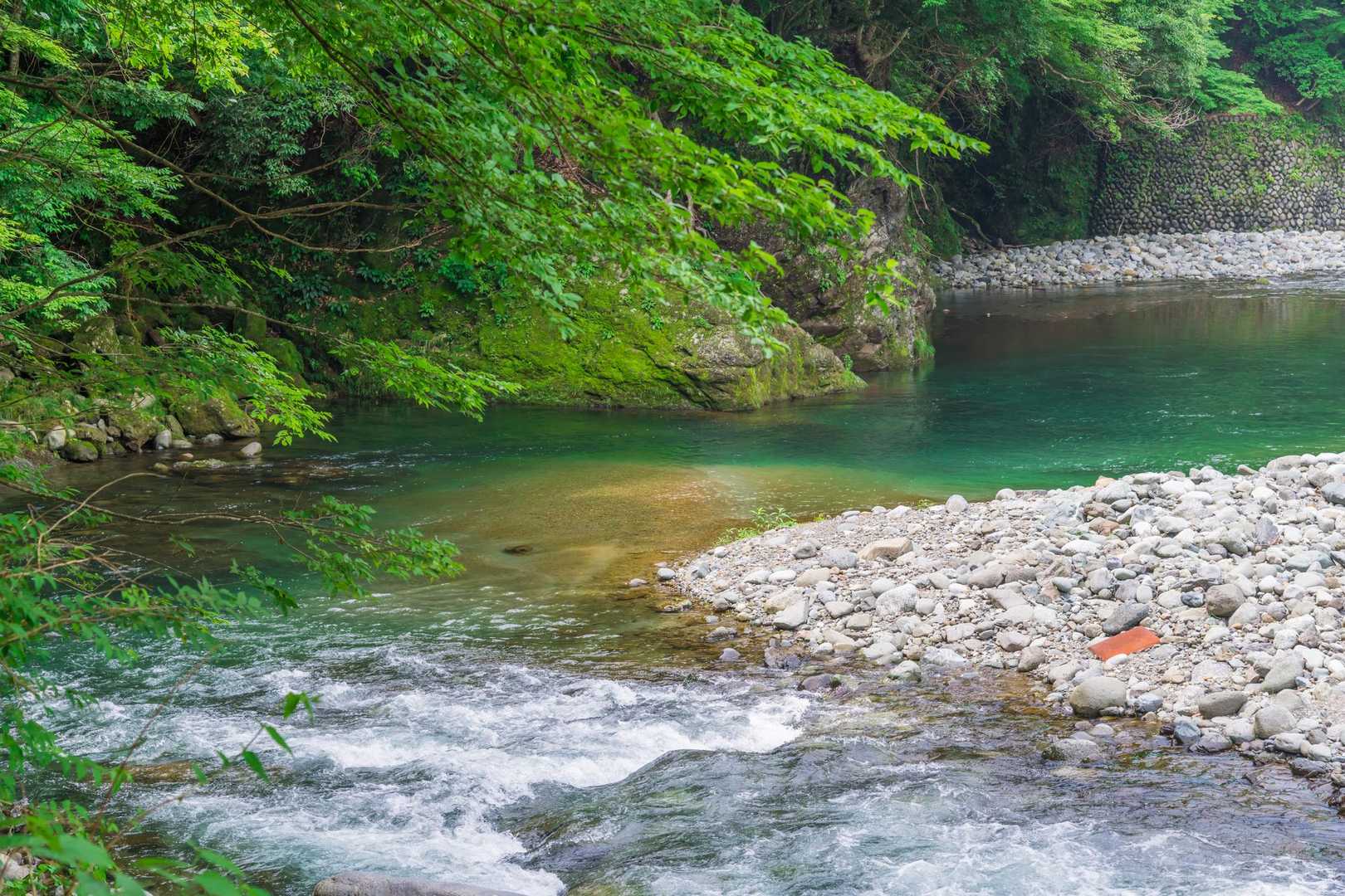 【道志渓谷】清冽な水をたたえた神奈川県の水源をたどる山歩道の写真