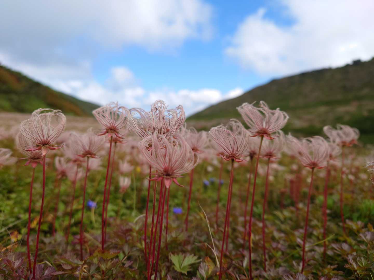 七合目登山事務所-黒岳-北海岳 往復コースの写真