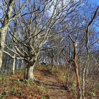 ビクトリーロード。