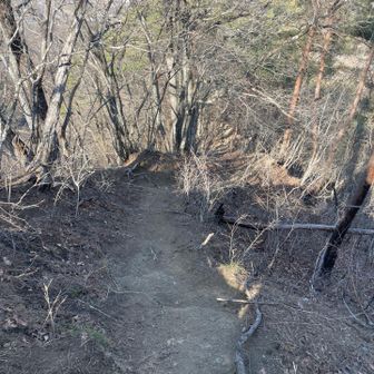 ここからは一気に下り！