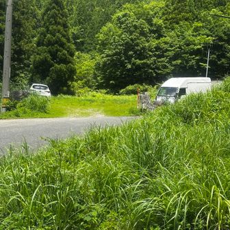 向かい側に広い草むらがあって、そこに停めてる人もいます