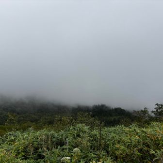 眺望なしのこーんな感じが続く😅