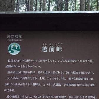 越前峠到着。中辺路最高点。標高870m 