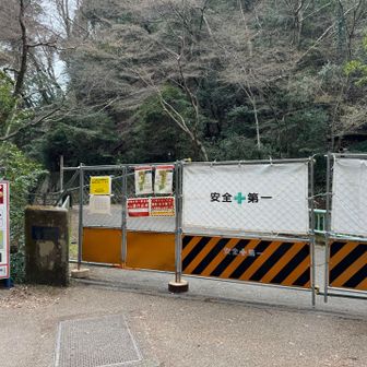 当分開かなそう