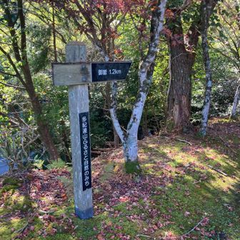 こちらからの登山口です