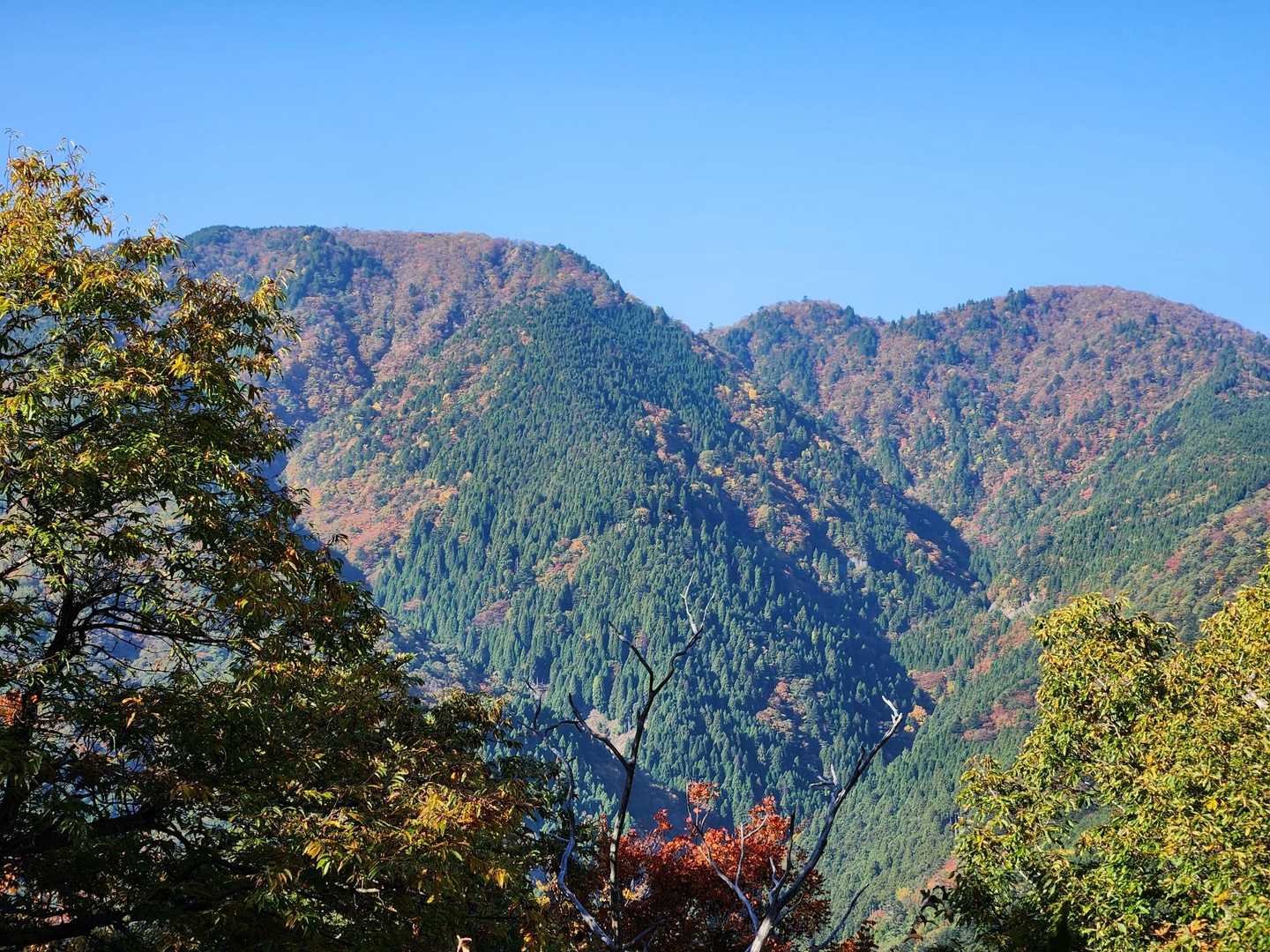 坊村バス停-坊村登山口-御殿山-ワサビ峠-武奈ヶ岳-北比良 縦走コースの写真