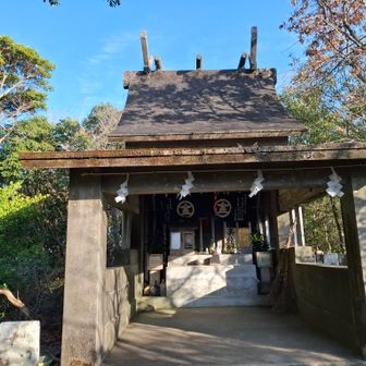 金毘羅山の祠⛩️