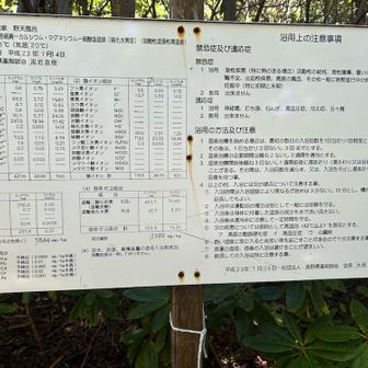 温泉の分析表。
泉温40.8℃（気温20℃）とあるが、もっと熱い印象。
