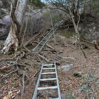 こんな長い梯子は初めて