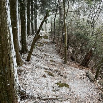 ここで食べます、寒い🥶