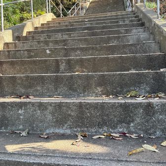 階段上がると山道になる