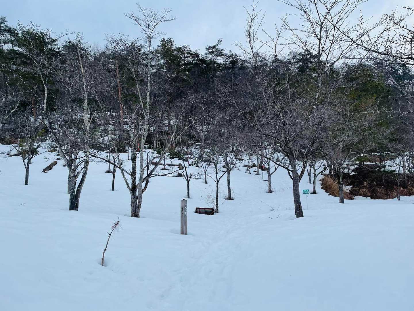 一合目到着、雪たっぷり❄️
ワカンを装着！