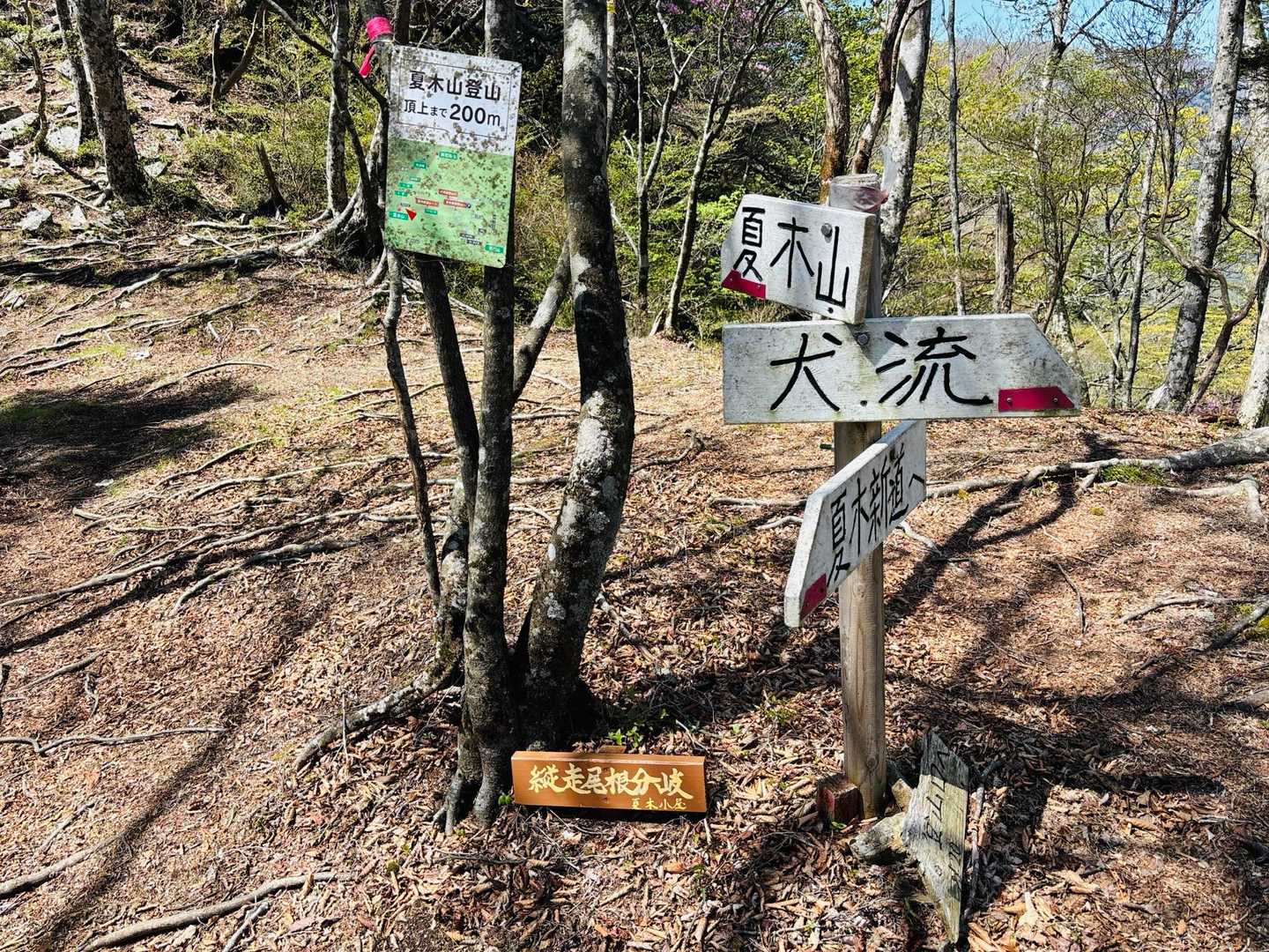 犬流(いぬながれ)にちょっと行ってみる