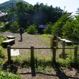 なんとか登山口に戻ってきた！
バスに間に合った！