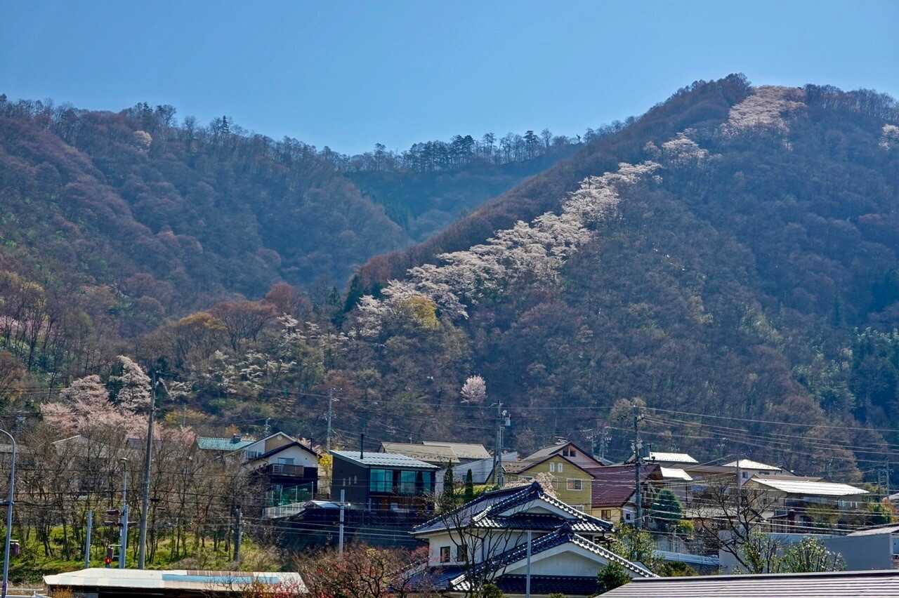 光城山の写真