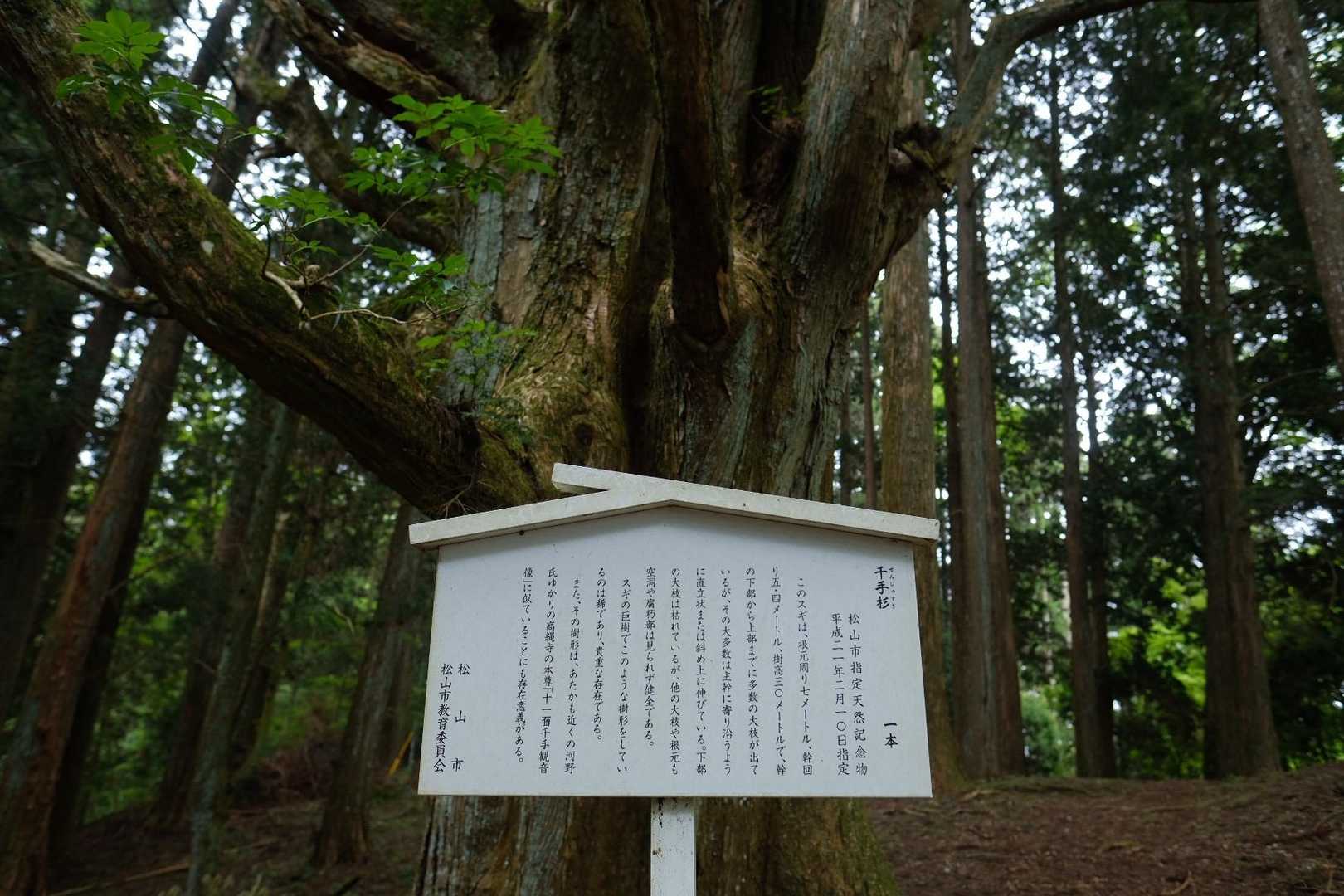 ふむふむ