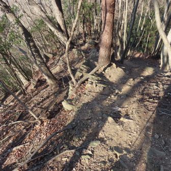 西高山から円良田湖に向かって下山
まあまあの急坂でした。