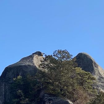 🐢わかりますか？？