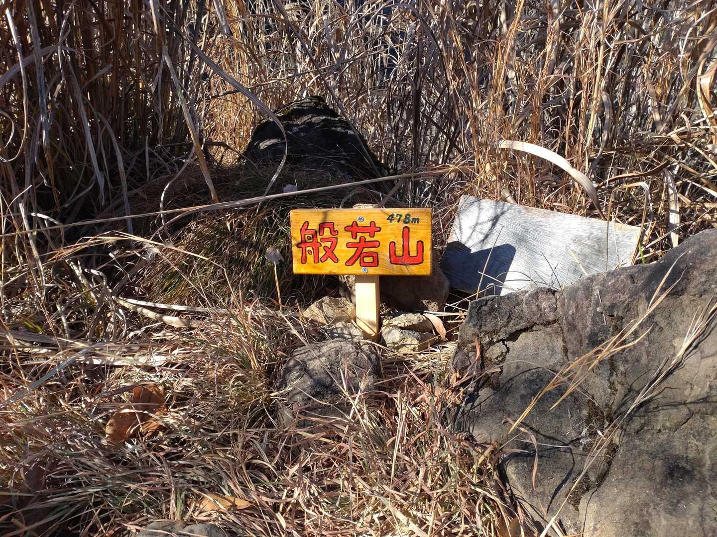 あら！
名前負けしててカワイイ