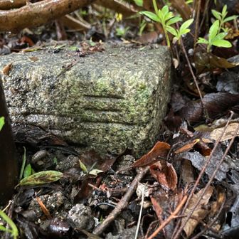 ここまでリアルに撮影してるの珍しいかも。

点名: 永源山
標高: 89.95 m
種別: 三等三角点
