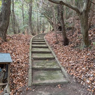 整備されてて歩きやすいけど、まあまあ傾斜キツイ💦