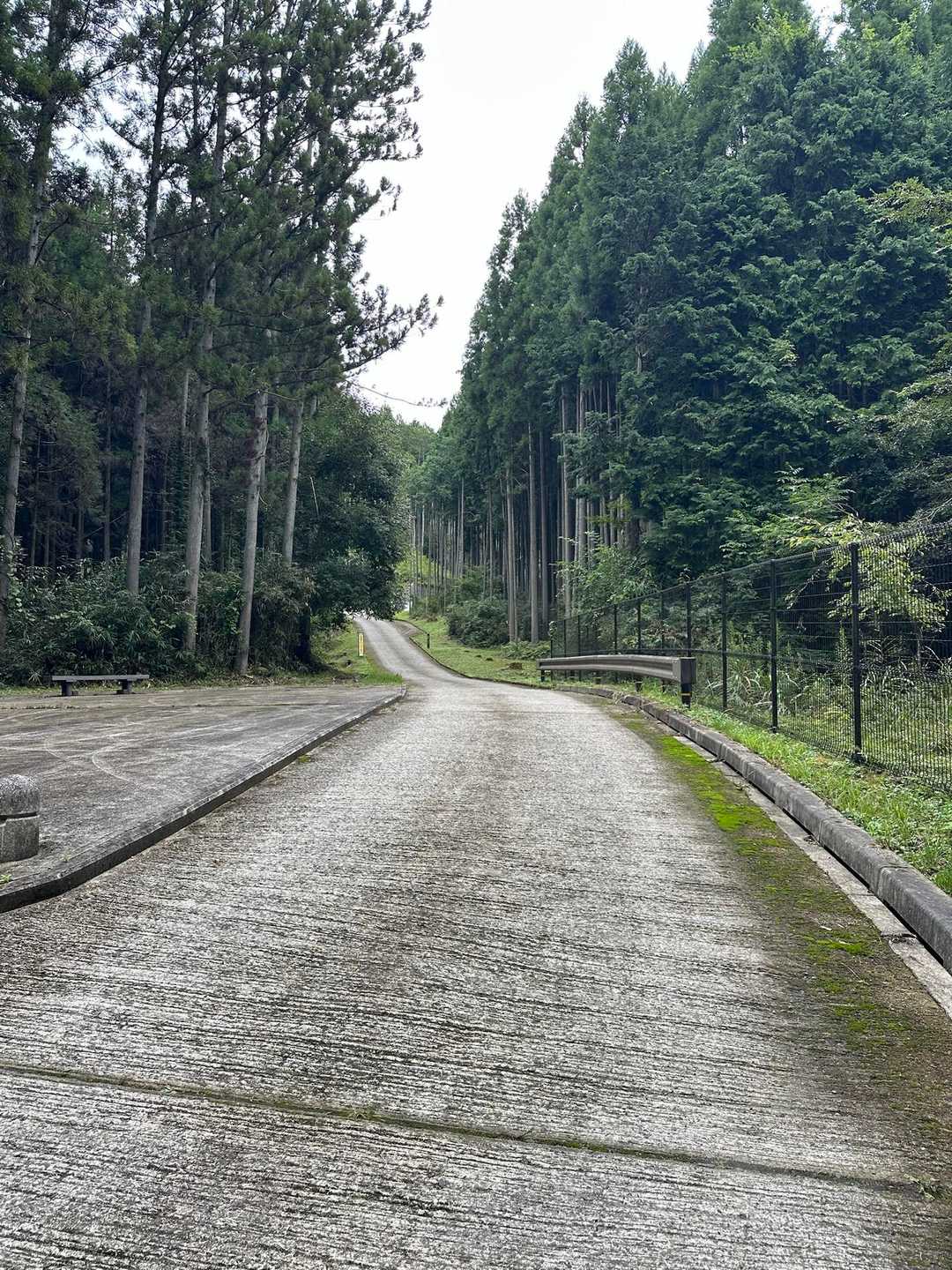 しんどい💦
とにかくカロリーを消費しなければと必死に歩く🐾