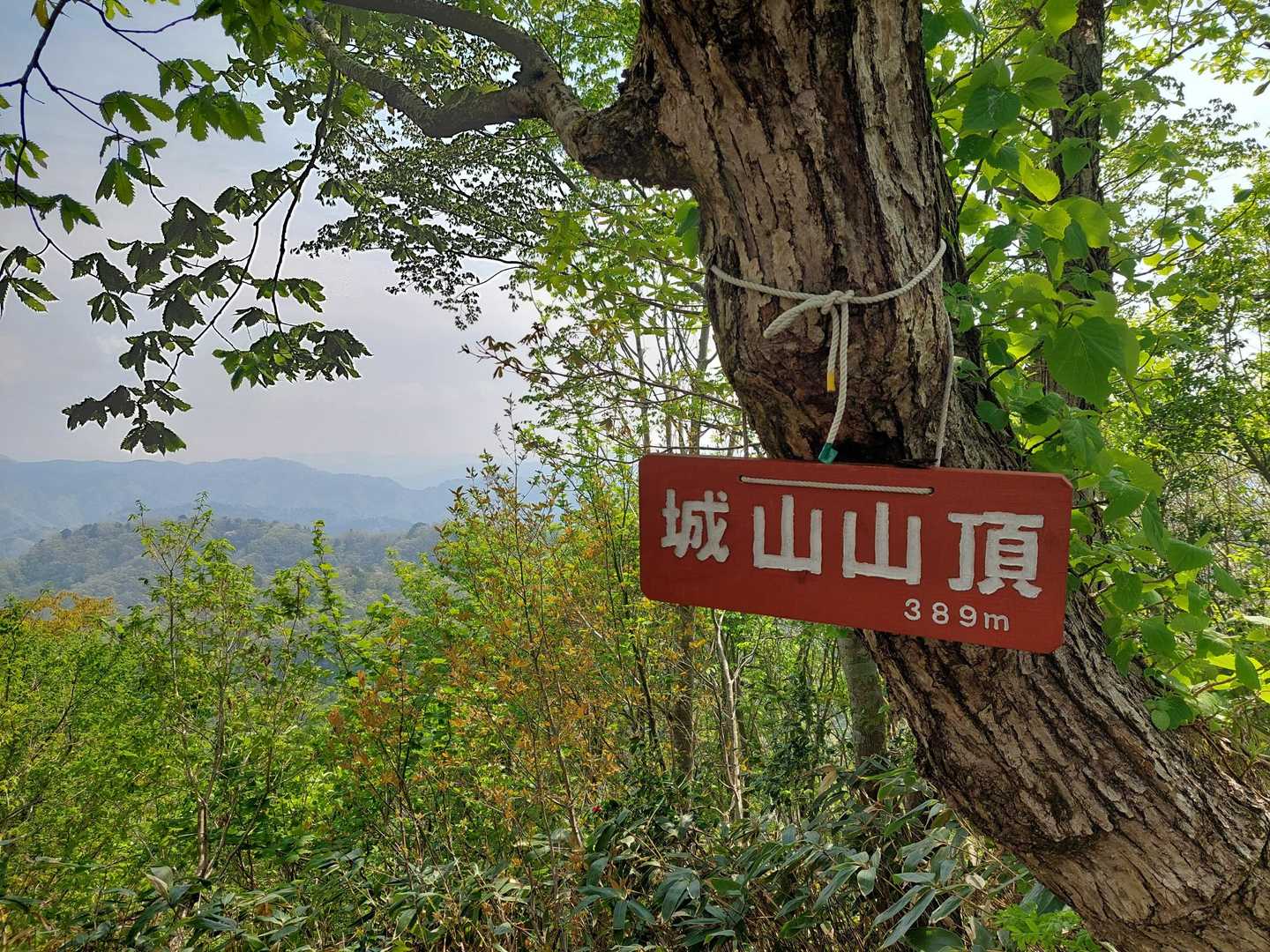城山🙌