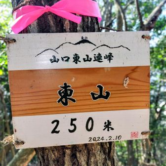 東山250m 東山連峰最高峰
