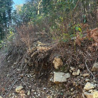 わかりにくいけど、この辺りから登る。
この四角い岩が目印になるかな。
登山道は左手にあります。