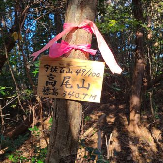 高尾山