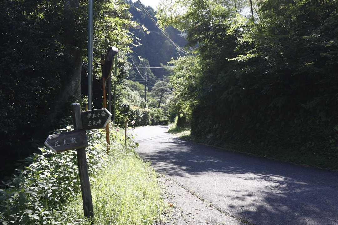 伊豆ヶ岳・高畑山・子ノ山（飯能アルプス3座）縦走 の写真 2