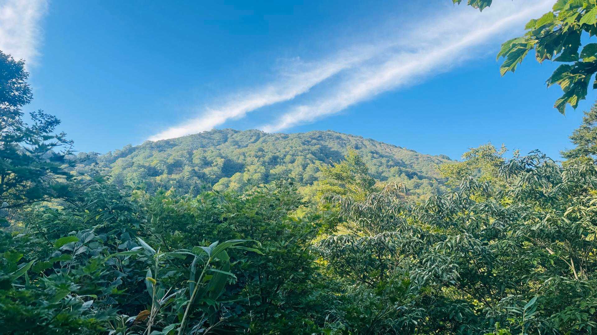 古寺鉱泉コース | 果てしなきビクトリーロード、大自然の息吹を肌で感じる稜線歩きの写真