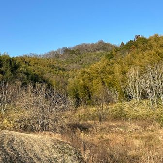 カンジョ古墳から貝吹山が見えてます‼️