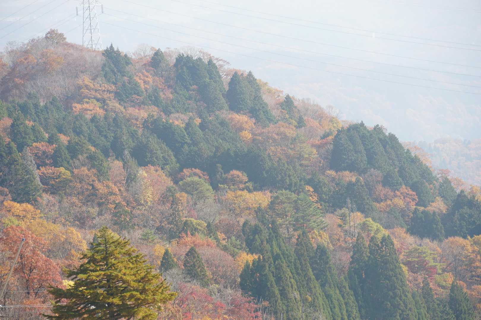 大日ヶ岳 往復コースの写真