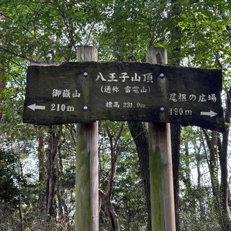 八王子山頂⤴️